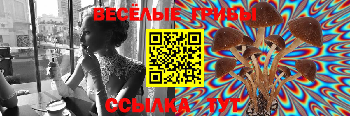 Псилоцибиновые грибы MAGIC MUSHROOMS  Вход с VPN  Галлюциногенные грибы Magic Shrooms  Карпинск 